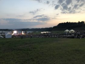 IMG_5198